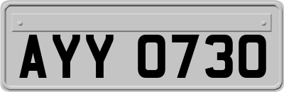 AYY0730