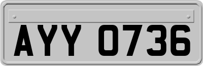 AYY0736