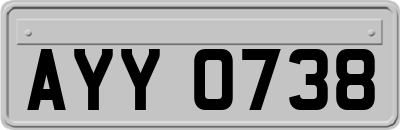 AYY0738