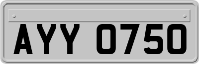 AYY0750