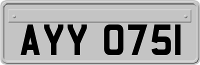 AYY0751