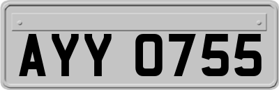 AYY0755
