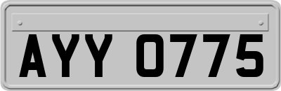 AYY0775