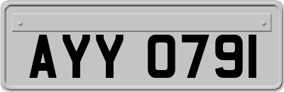 AYY0791