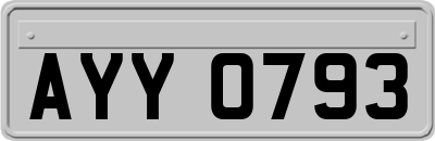 AYY0793