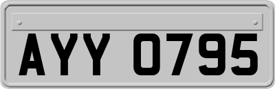 AYY0795