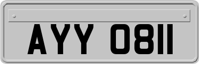 AYY0811