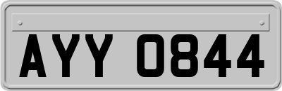 AYY0844