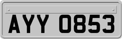 AYY0853