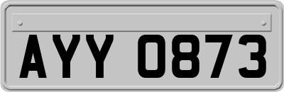 AYY0873