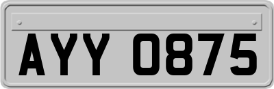 AYY0875