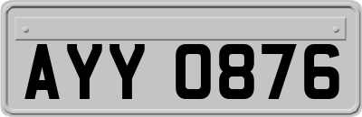 AYY0876