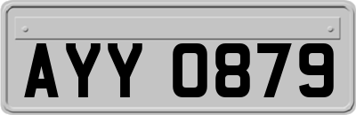 AYY0879