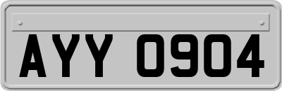AYY0904
