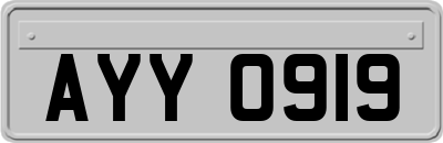 AYY0919