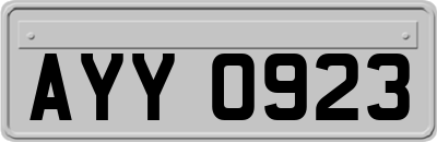 AYY0923