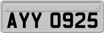 AYY0925