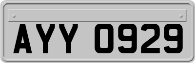 AYY0929
