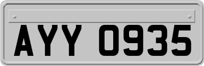 AYY0935
