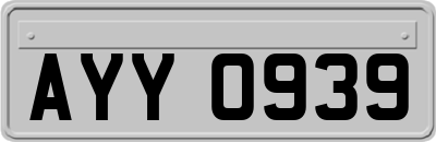AYY0939