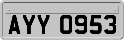 AYY0953