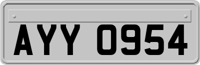 AYY0954
