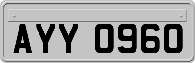 AYY0960