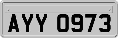 AYY0973
