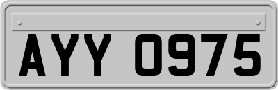 AYY0975
