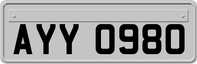 AYY0980