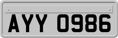 AYY0986