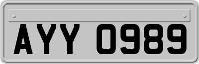 AYY0989