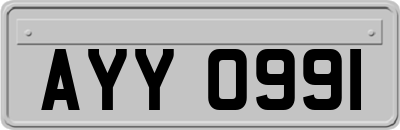 AYY0991