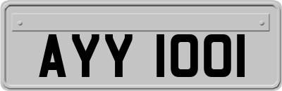 AYY1001