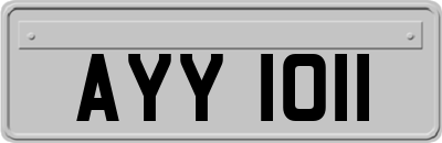AYY1011