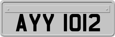 AYY1012