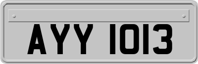 AYY1013