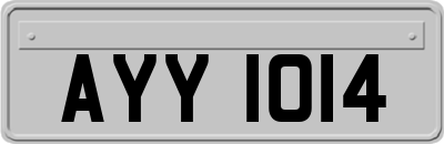 AYY1014