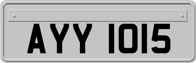 AYY1015