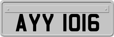 AYY1016