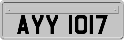 AYY1017