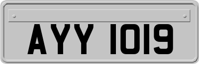 AYY1019