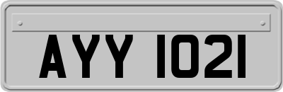 AYY1021