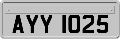 AYY1025