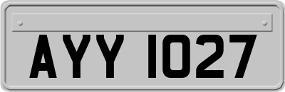 AYY1027