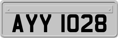 AYY1028