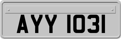 AYY1031