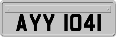 AYY1041