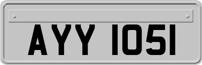 AYY1051