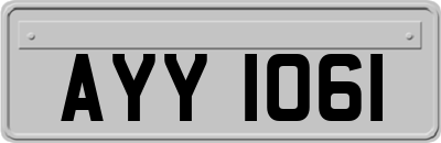 AYY1061